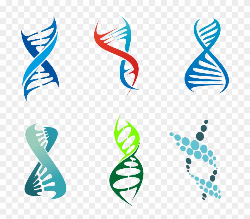 Dna Vector Genetics Royalty-free - Stylized Dna #842900