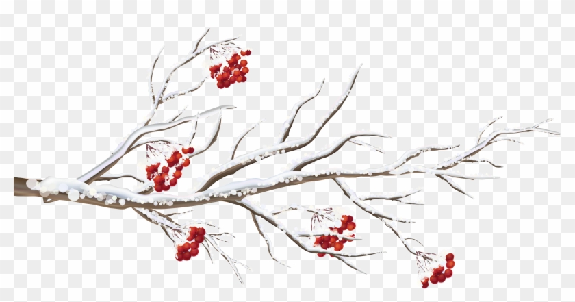 Winter Branch Png Clip Art Image - Wintry Cardinals Small Boxed Holiday Cards #843317