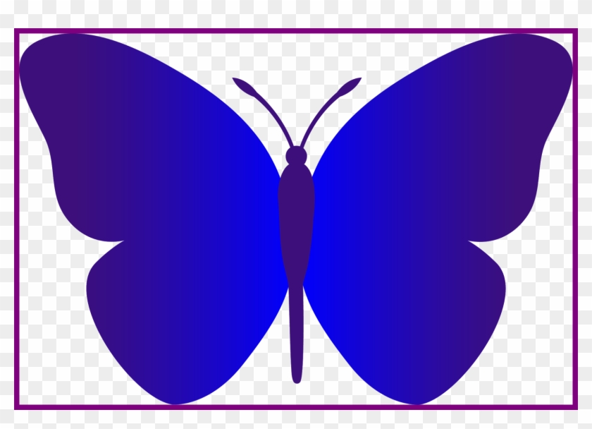 Butterfly Black And White Butterfly Black And White - Simple Butterfly Clip Art #843300