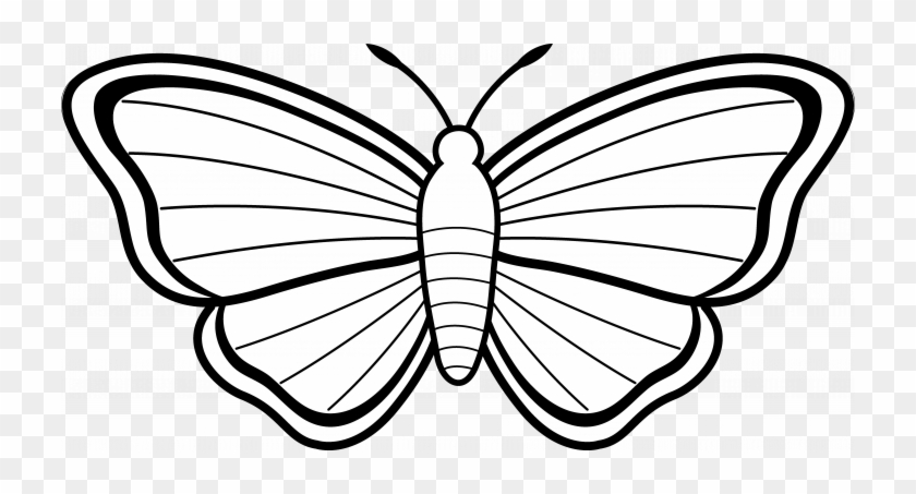 Butterfly Outline Clipart Images Simple Printable Animal - Colouring Images Of Butterfly #843302