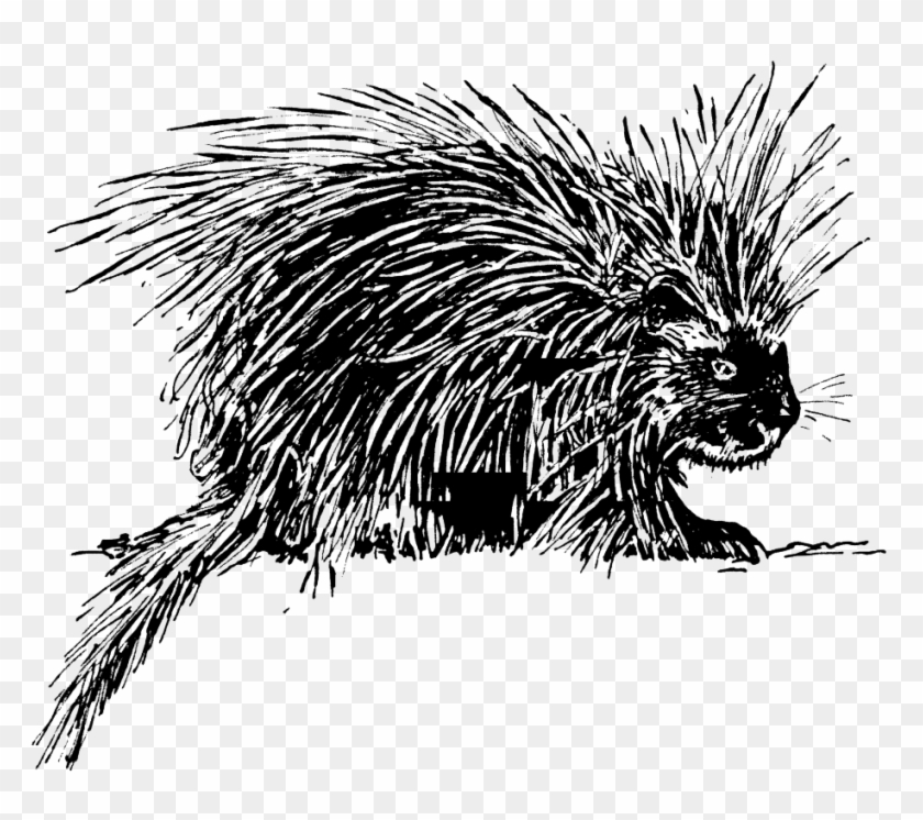 Puffer Fish Clipart - Porcupineclip Art #843443