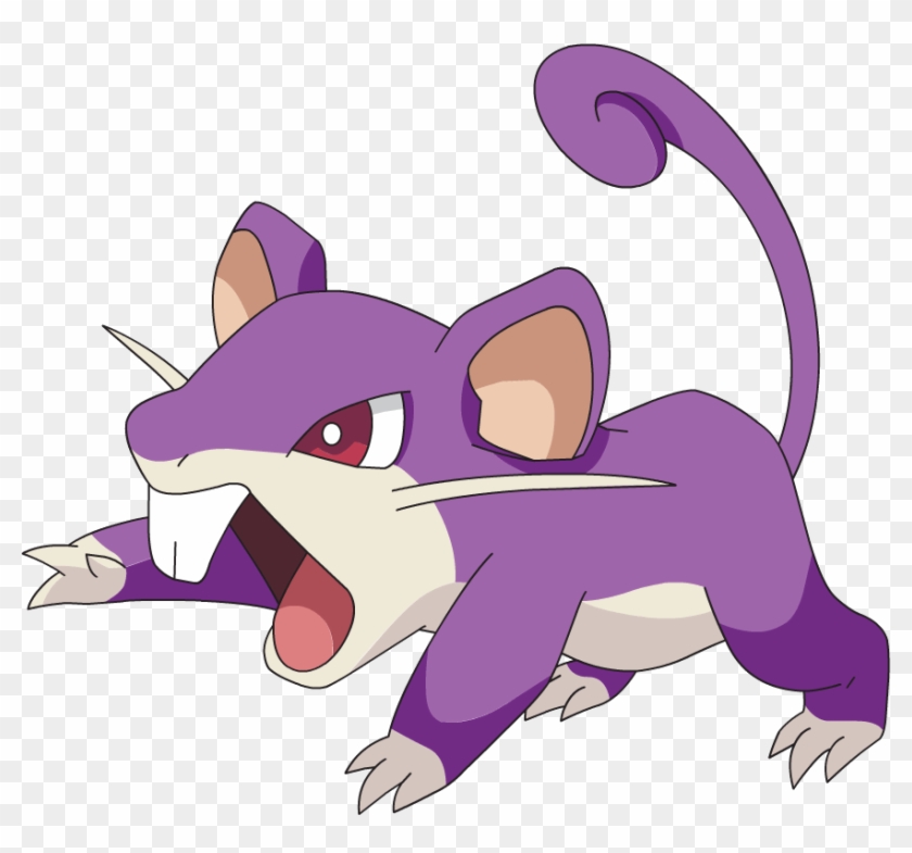 Rattata Png #843669