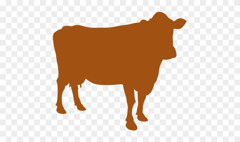Farm Animal Cow Silhouette - Cow Silhouette #843791