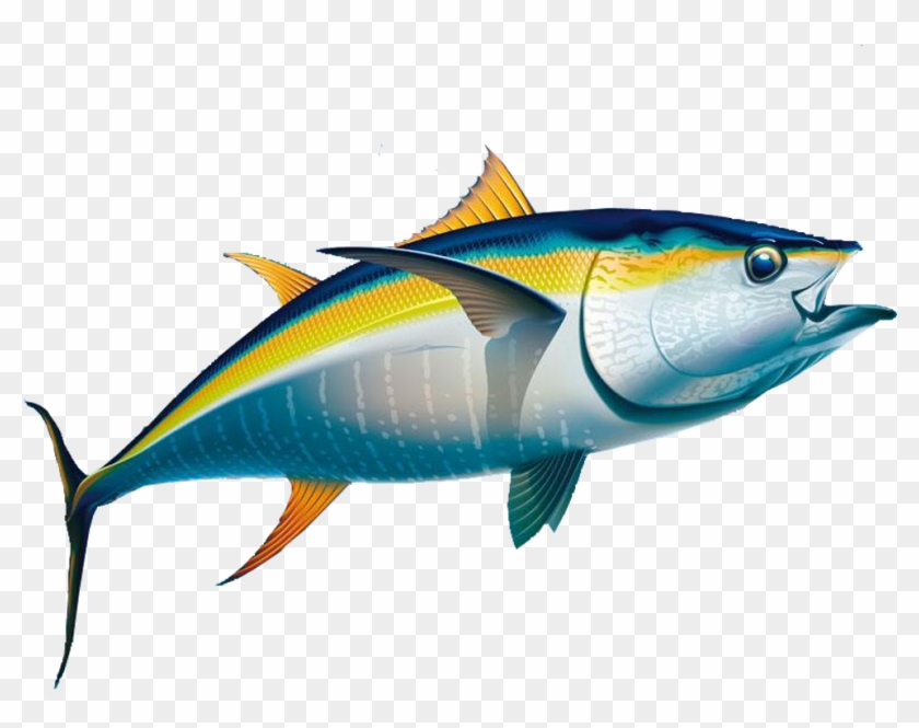 Yellowfin Tuna Fishing Albacore - Fishing & Dive Sites - Collier County Florida #844159