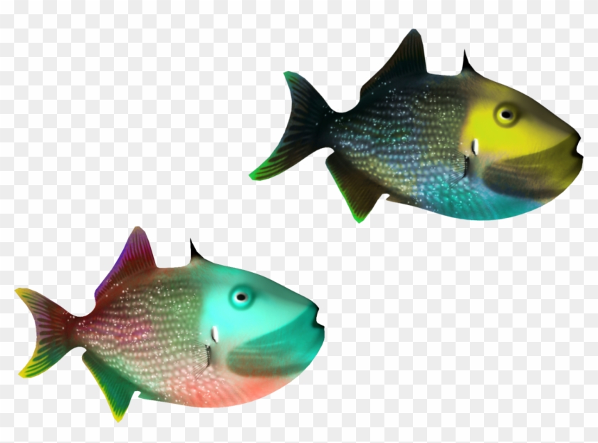 Stock Photography Fish Clip Art - Pomacentridae #844172