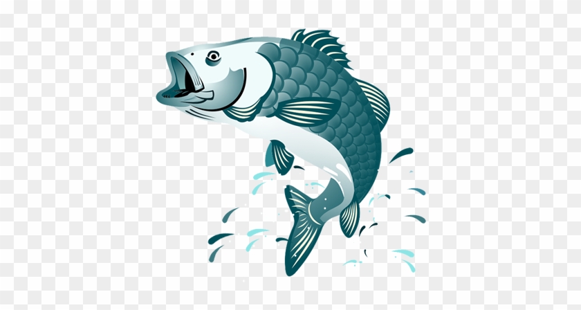 Jumping Fish Clipart Png #844228