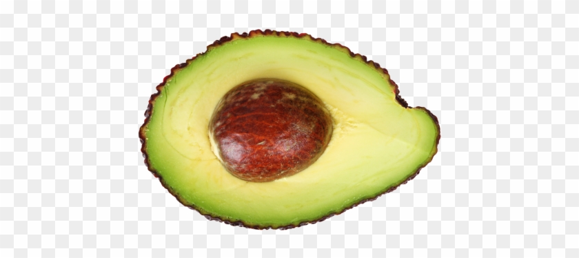 Avocado Clipart Avocado Half - Avocado Sliced In Half #844302