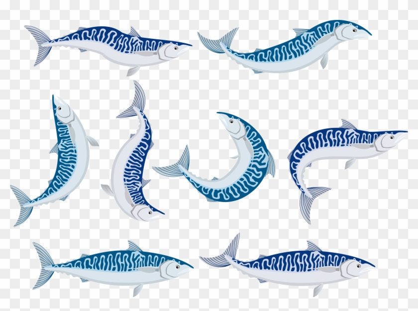 Fish Chub Mackerel - Mackerel Logo #844312