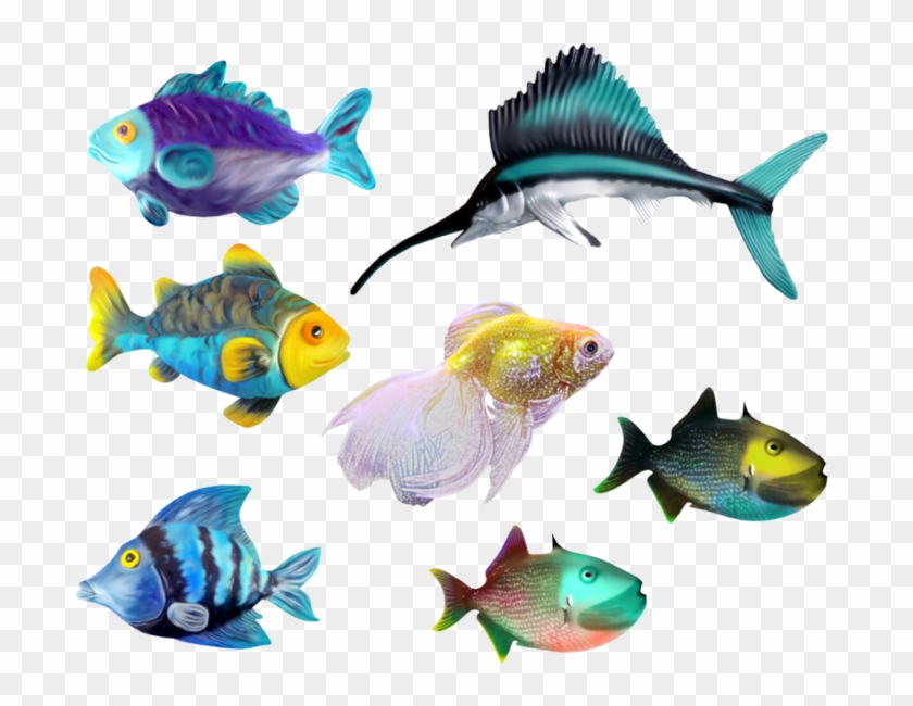 2 Kbytes Free Transparent PNG Clipart Images 