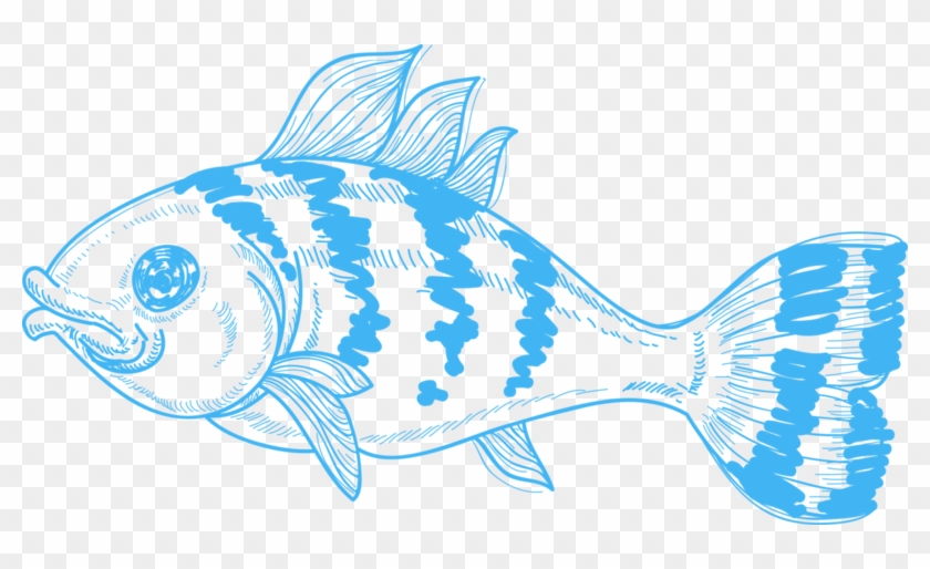 Blue Fish - Fish #844359