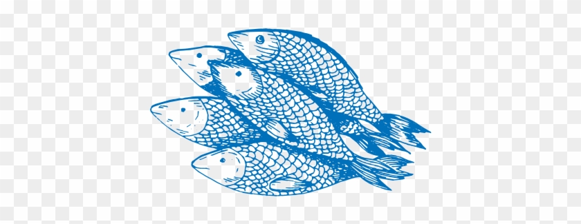 We Buy Local, Fresh Fish Daily - Fish #844433