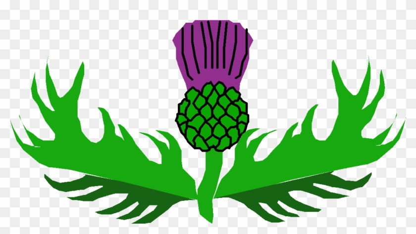 Free Thistle Clipart - Thistle #844536