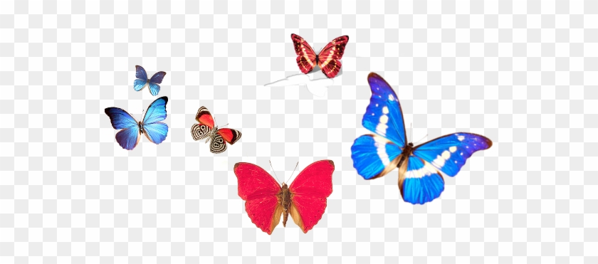 We Make Transformation In You - We Make Transformation In You #844680
