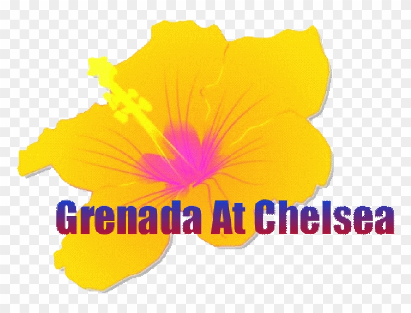 Good Afternoon & Welcome To The Grenada At Chelsea - Grenada #844764