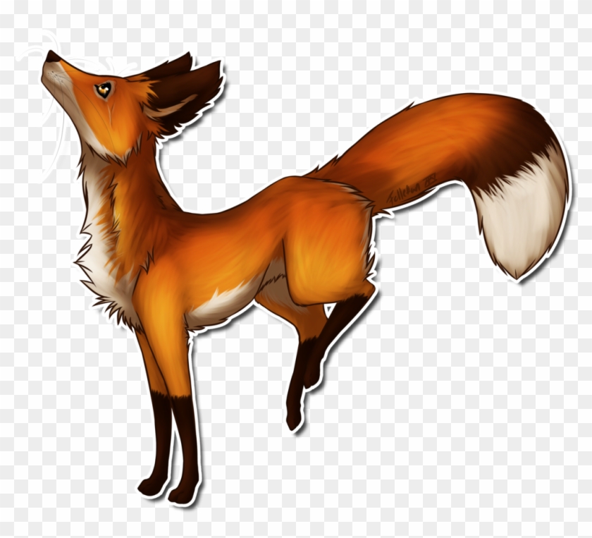 Transparent Fox Drawing - Fox Digital Drawing #844766
