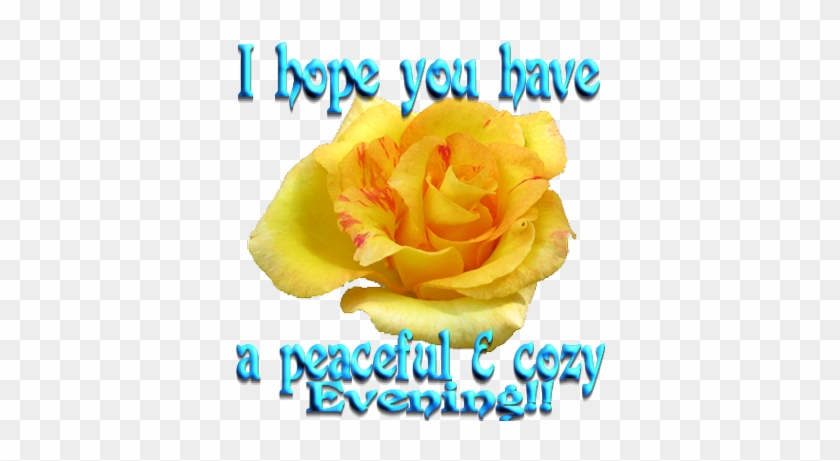Good Evening Wishes For Facebook And Whatsapp - Good Evening Image With Yellow Rose #844798