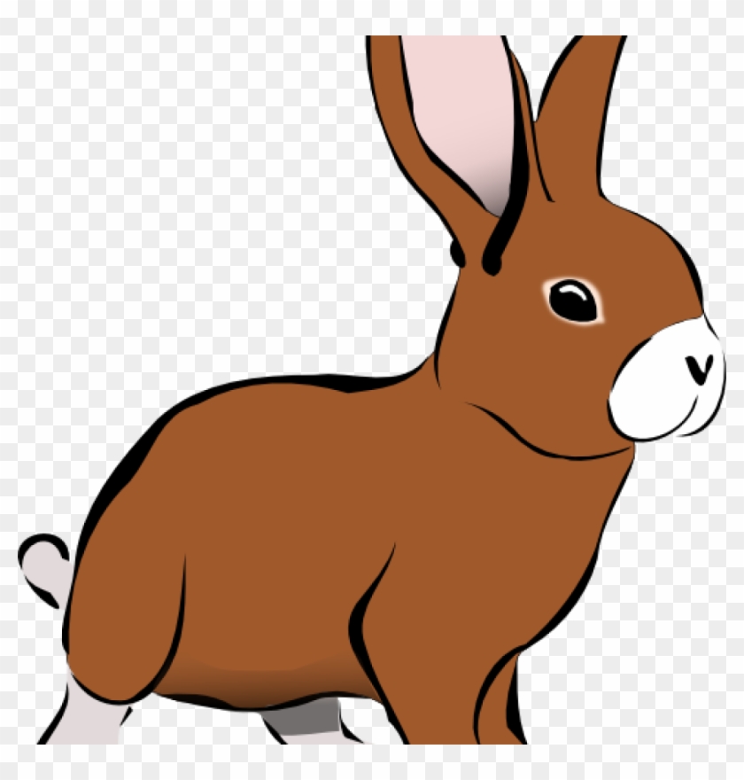 Bunny Clipart Rabbit Panda Free Images - Rabbit Clip Art .png #844838