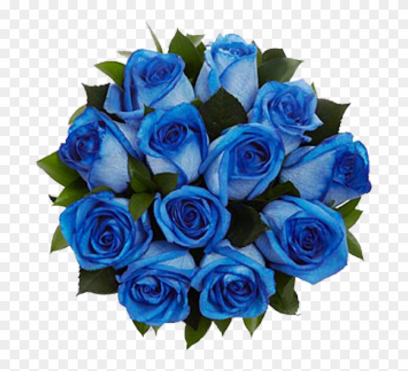 Mob Rec - Bunch Of Blue Rose Flowers #846180