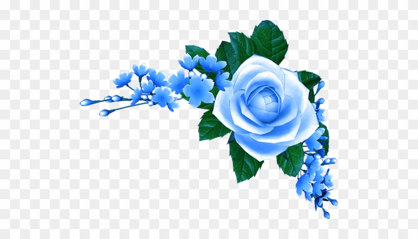 Blue Roses - Blue Rose Png Hd #846190