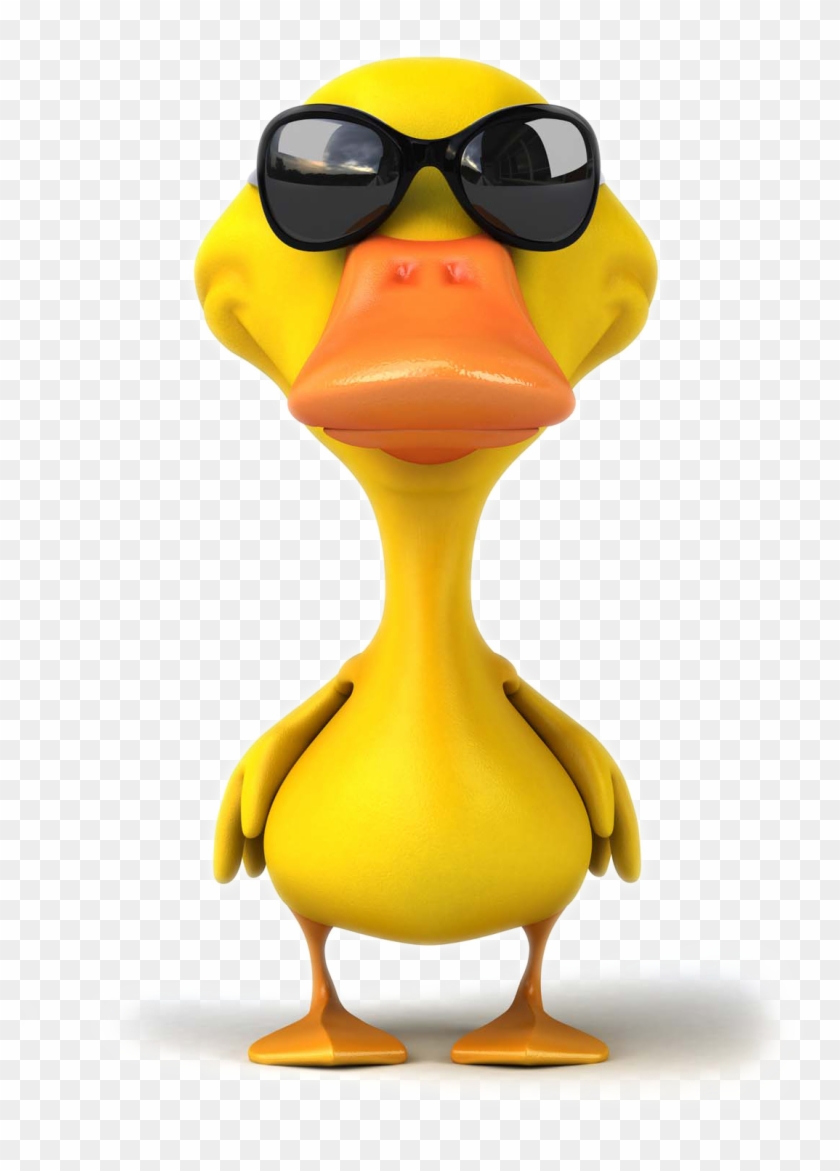 Pato Ánade Real De La Fotografía De Stock Ilustración - Duck With Sunglasses Cartoon #846552