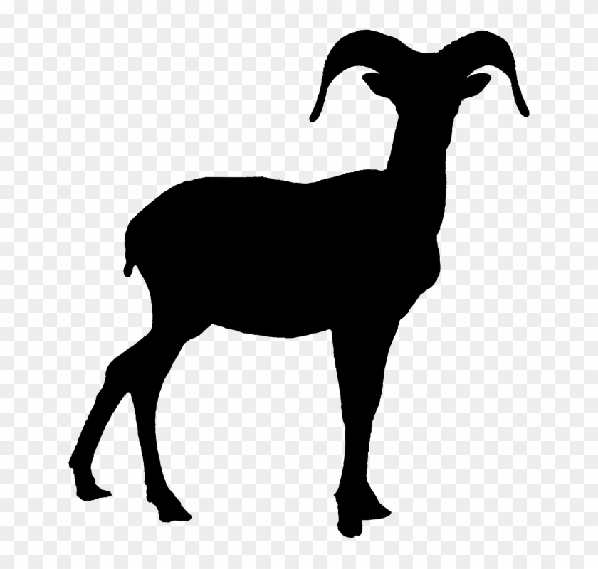 Bighorn Sheep Clipart - Bighorn Sheep #846660