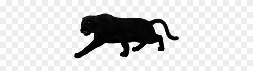 Black Panther Full Body - Black Panther Animal Png #846713