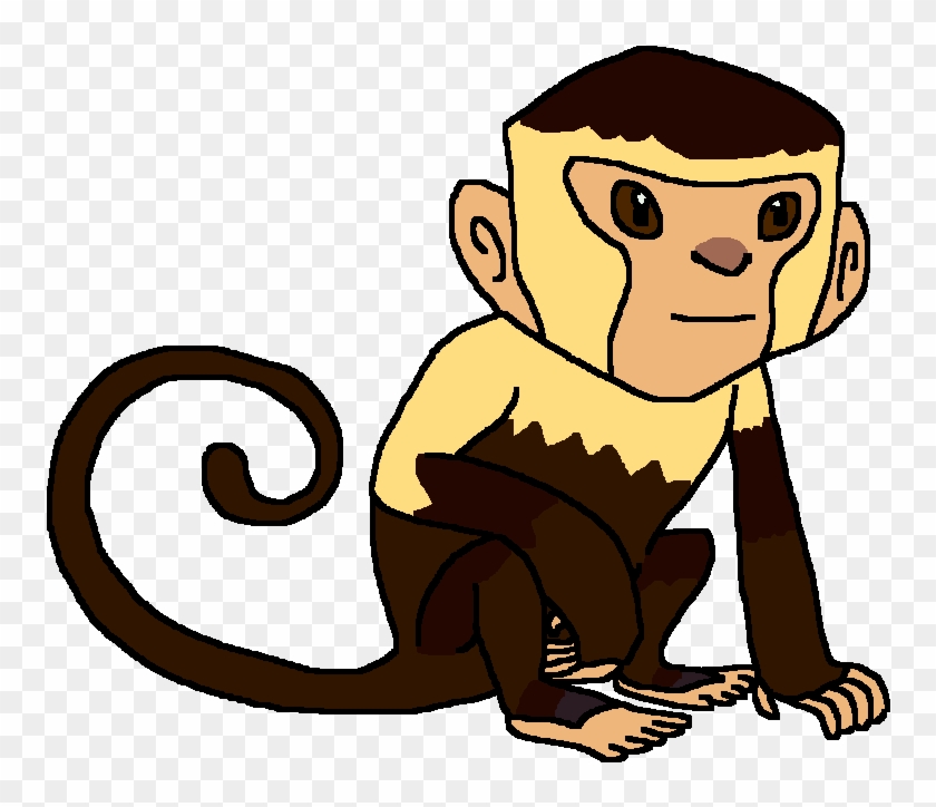 Capuchin Monkey - Cartoon #846780