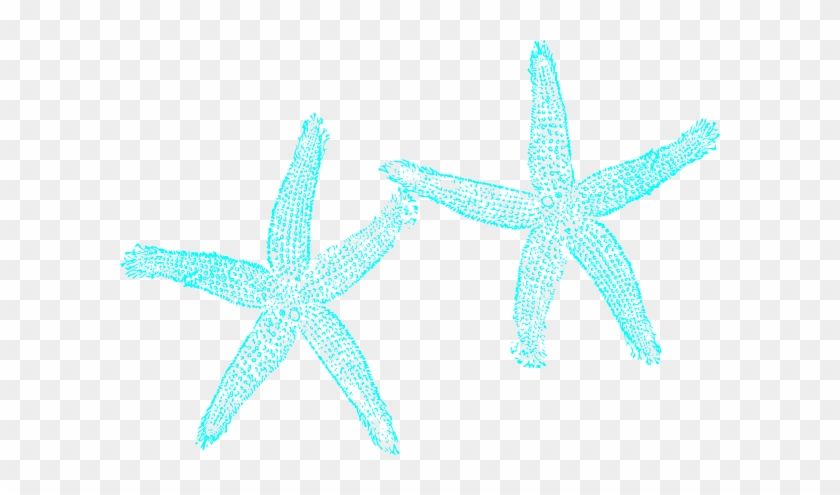 Starfish Clipart Gclipart - Aqua Starfish Clipart #846876