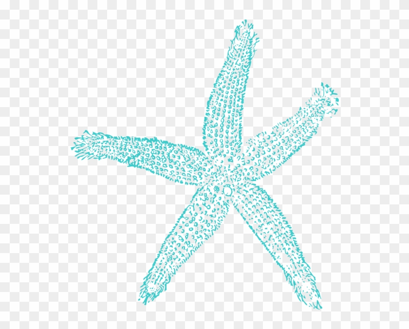 Aqua Starfish Clipart #846878