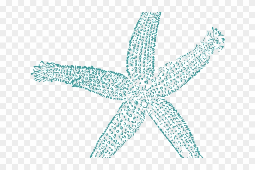 Starfish Clipart Teal - Estrellas De Mar Png #846885