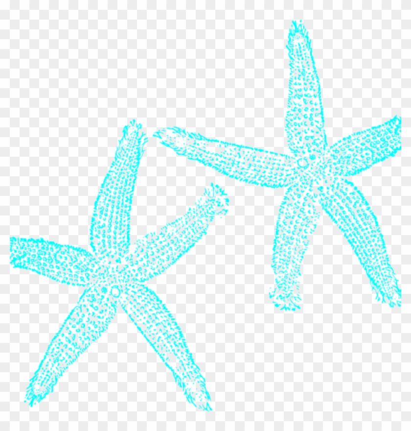 Starfish Clipart Turquoise Starfish Clip Art Clipart - Fish Clip Art #846891