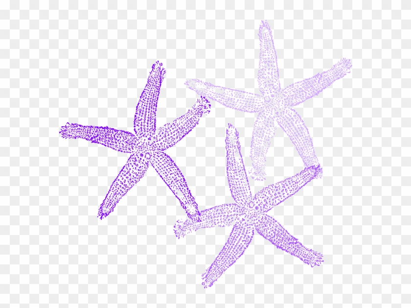 Fish Clip Art #846902