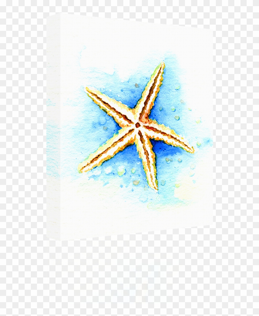 Watercolor - Starfish #846909