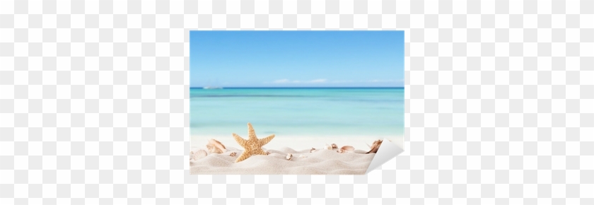 Dekor Sommar Strand Med Strafish Och Snäckor • Pixers® - Sea Canvas Wall Art,starfish Conch Beach Rt Decoration,framed #846942