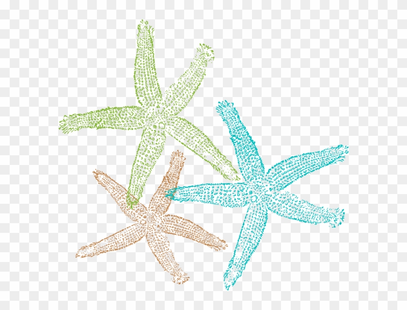 Starfish Png #847010