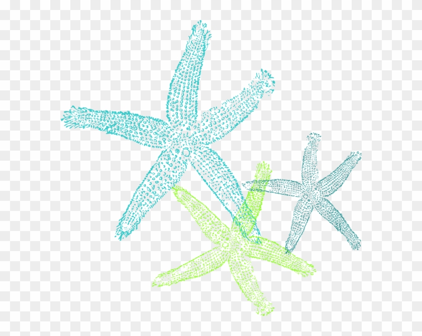 This Free Clip Arts Design Of Turquoise Green Starfish - Fish Clip Art #847016