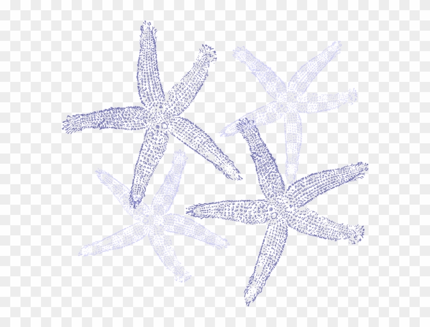 Starfish Clipart Light Blue - Transparent Background Starfish Clipart #847018