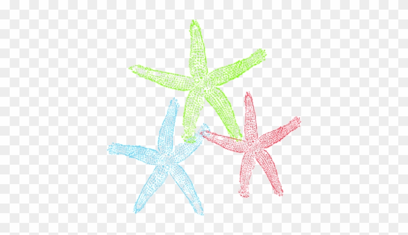 Starfish Free To Use Clip Art - Free Starfish Clip Art #847022