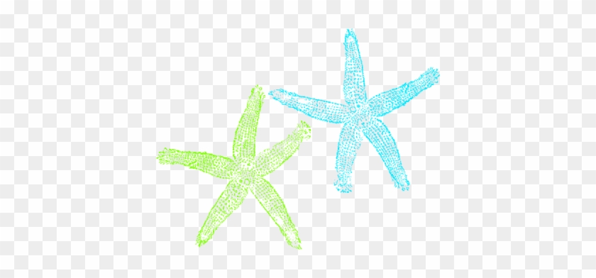 To Starfish Orange Red Clip Clipart Free Clip Art Images - Lime Green Starfish Clipart #847034