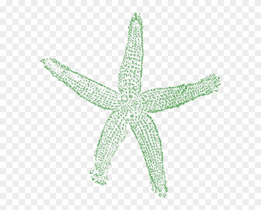 Starfish Cartoon - Fish Clip Art #847053