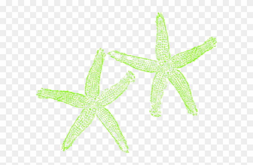 Green Starfish Clipart #847061