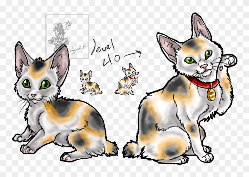 Japanese Bobtail Adoptable By Da-lizzard - Japanese Bobtail Calico Cat #847301