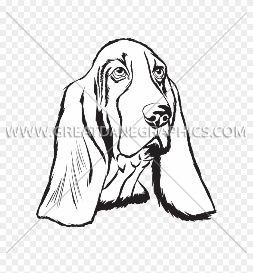 Basset Hound Face Black And White #848192