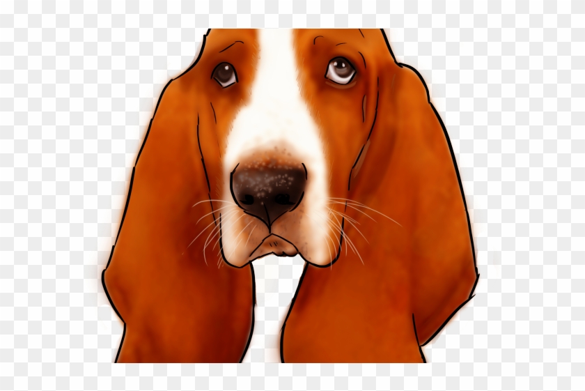 Basset Hound Png Transparent Images - Basset Hound #848231