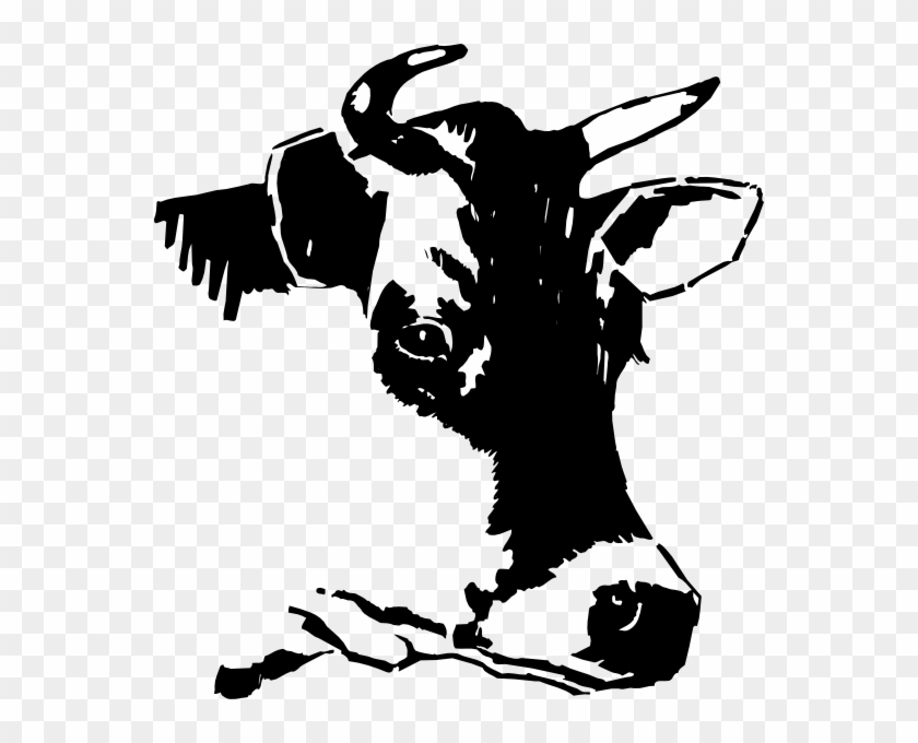Cow Head Clipart Black And White - Head Of Cow Drawing #848286