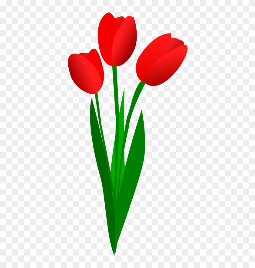 Clip Arts Related To - Red Tulip Clip Art #848319