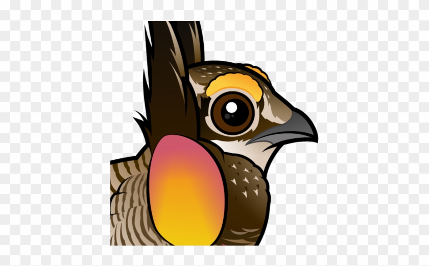 Also Known As - Zazzle Retten Sie Das Des Attwaters Grasland-huhn Hüllen #848722