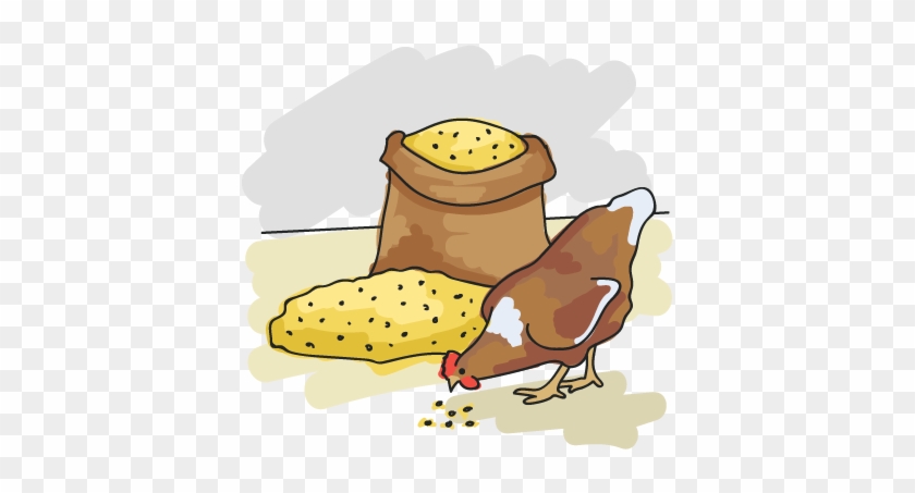 Illustration Of A Hen Pecking Some Feed - Pecking Order #848729