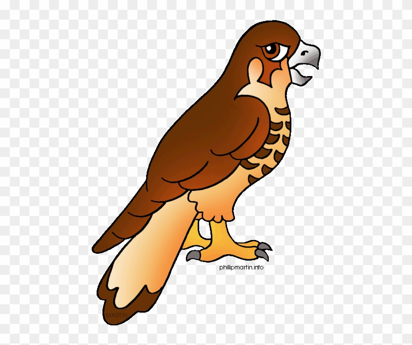 Red Tailed Hawk Clipart Clipart Panda - Clipart Of A Hawk #848743