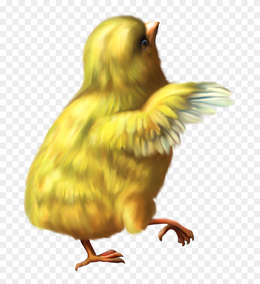 Yellow Baby Chicken Png Image - Good Morning Y All #848790